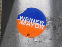 weiner