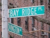 17.bayridge.sign