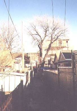 Alleys_sheepshead_06