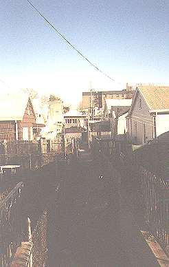 Alleys_sheepshead_15