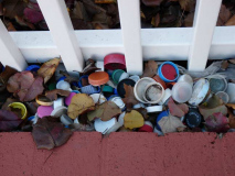 bottlecap3
