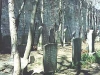 cemeteries_happydeathdaymrlawrence_05