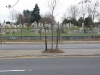 cemeteries_happydeathdaymrlawrence_22