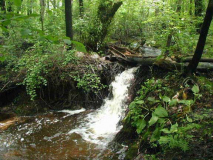 claypitwaterfall