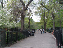 61a-tompkins-sq_