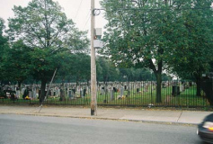 linden-cemetary