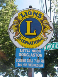 17-lions_