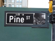 pine