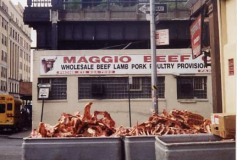 maggio