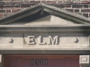 elmmidwood