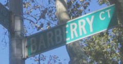 barberry1