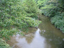 27-bronxriver