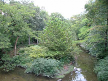 28-bronxriver