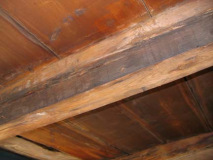 36.roof.timbers