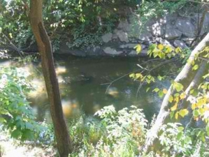 bronxriver4