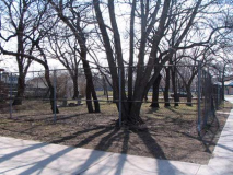 44-cemetery