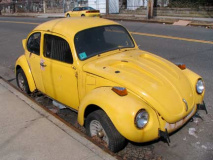 12-pitkin-penn_-bug_