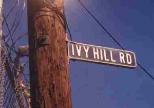 ivyhill2