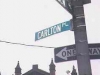 carlton2