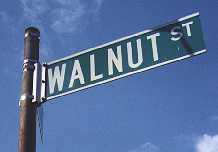 walnut