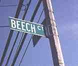 beech4