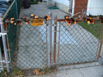 68-lyndhurst-fence_