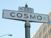 04-cosmo_