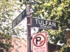 tulfan1-copy