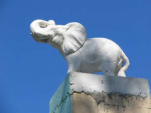 17-wyona_-elephant