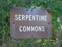 49-serpentine