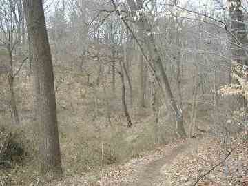 HEYERDAHL HILL - Forgotten New York