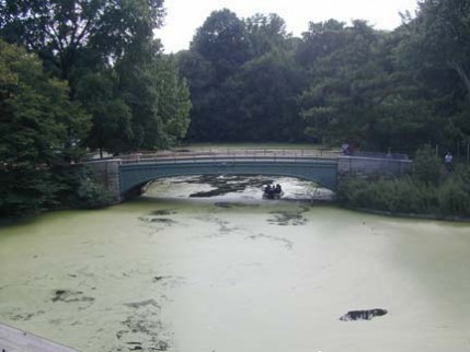 SECRETS OF PROSPECT PARK - Forgotten New York