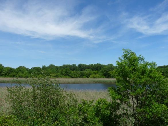 HIGHLAND PARK and RIDGEWOOD RESERVOIR - Forgotten New York