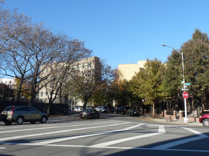 Horseshoe Park New York