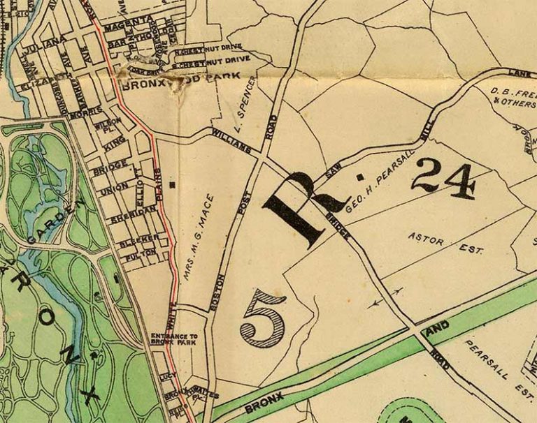 Where It All Begins New York