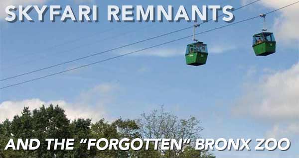 Skyfari Remnants - Forgotten New York