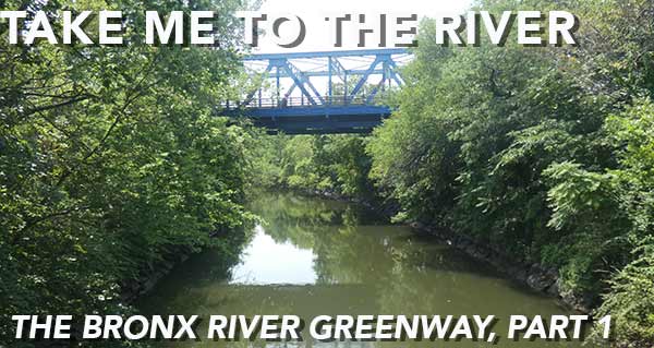 Ny Rivers Map Bronx River Starlight - Forgotten New York